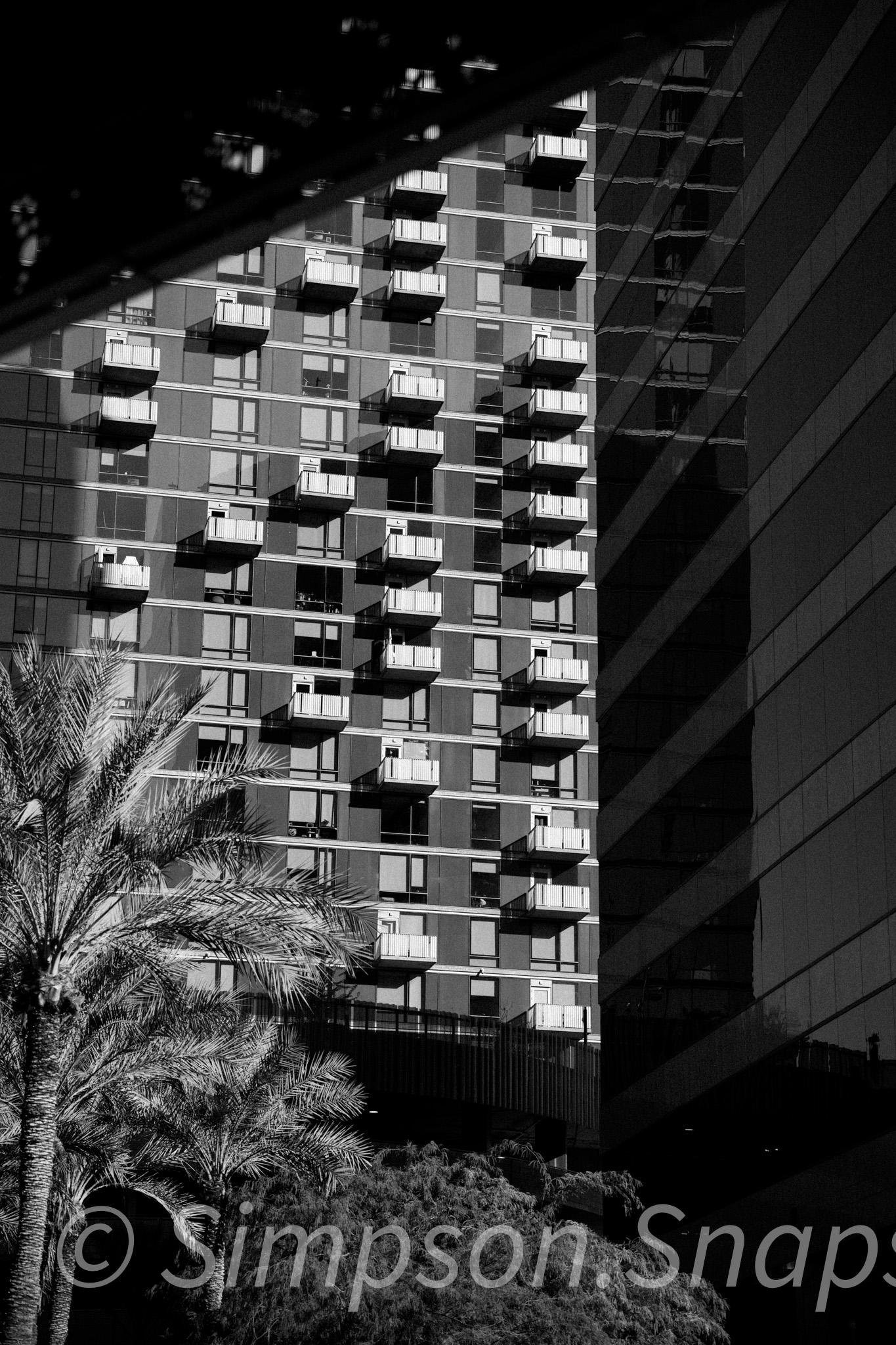 Street photograph 74