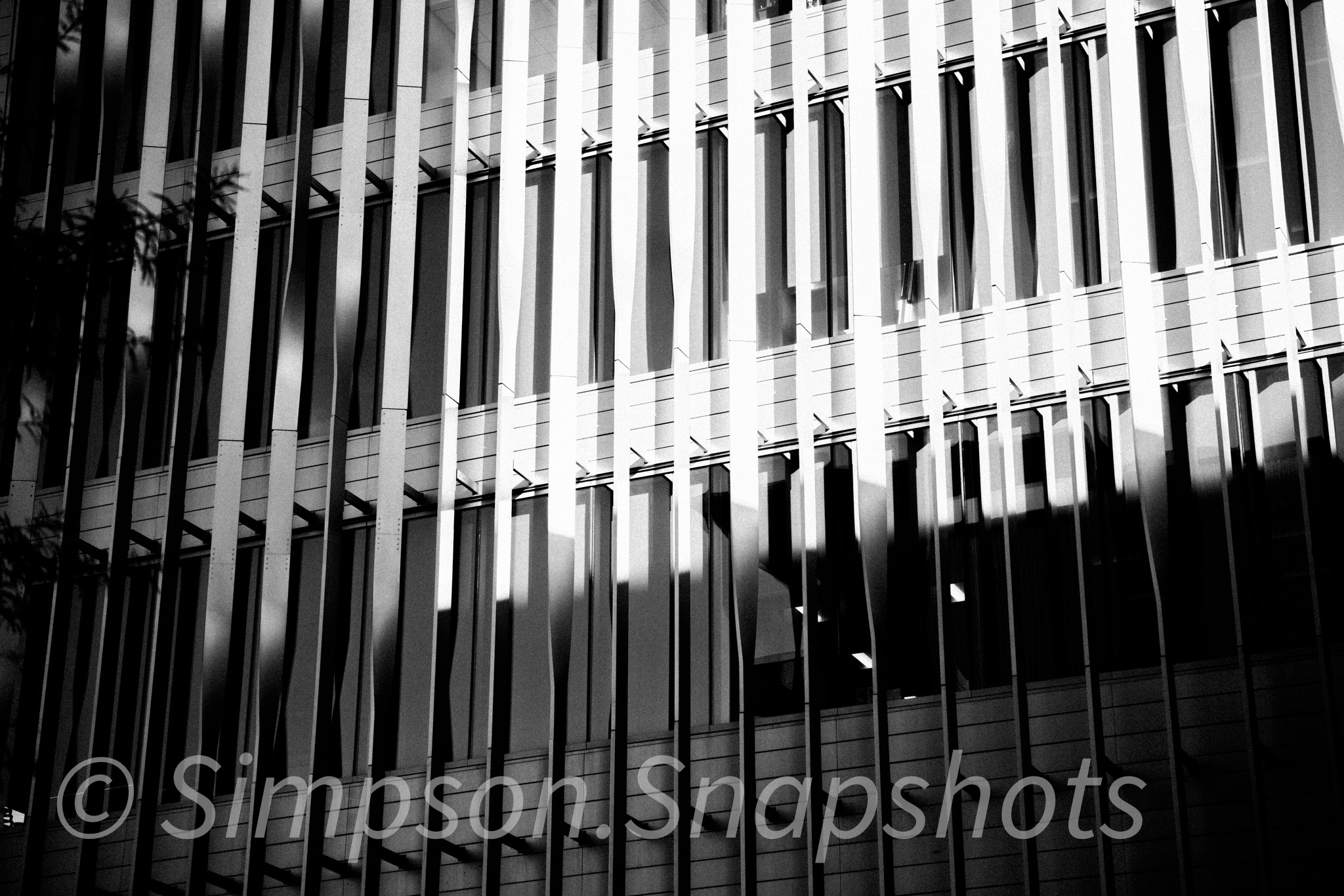 Street photograph 41
