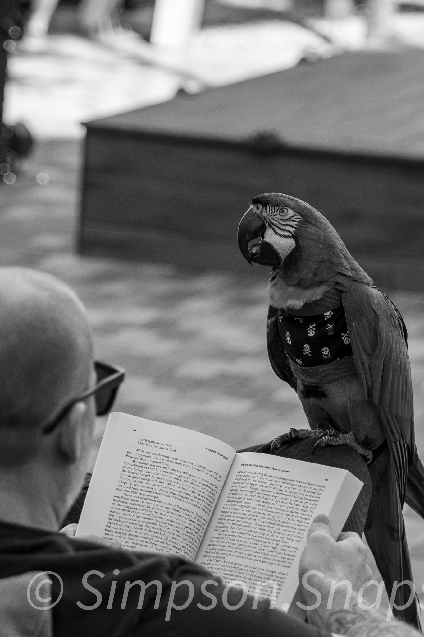 Street photograph 9