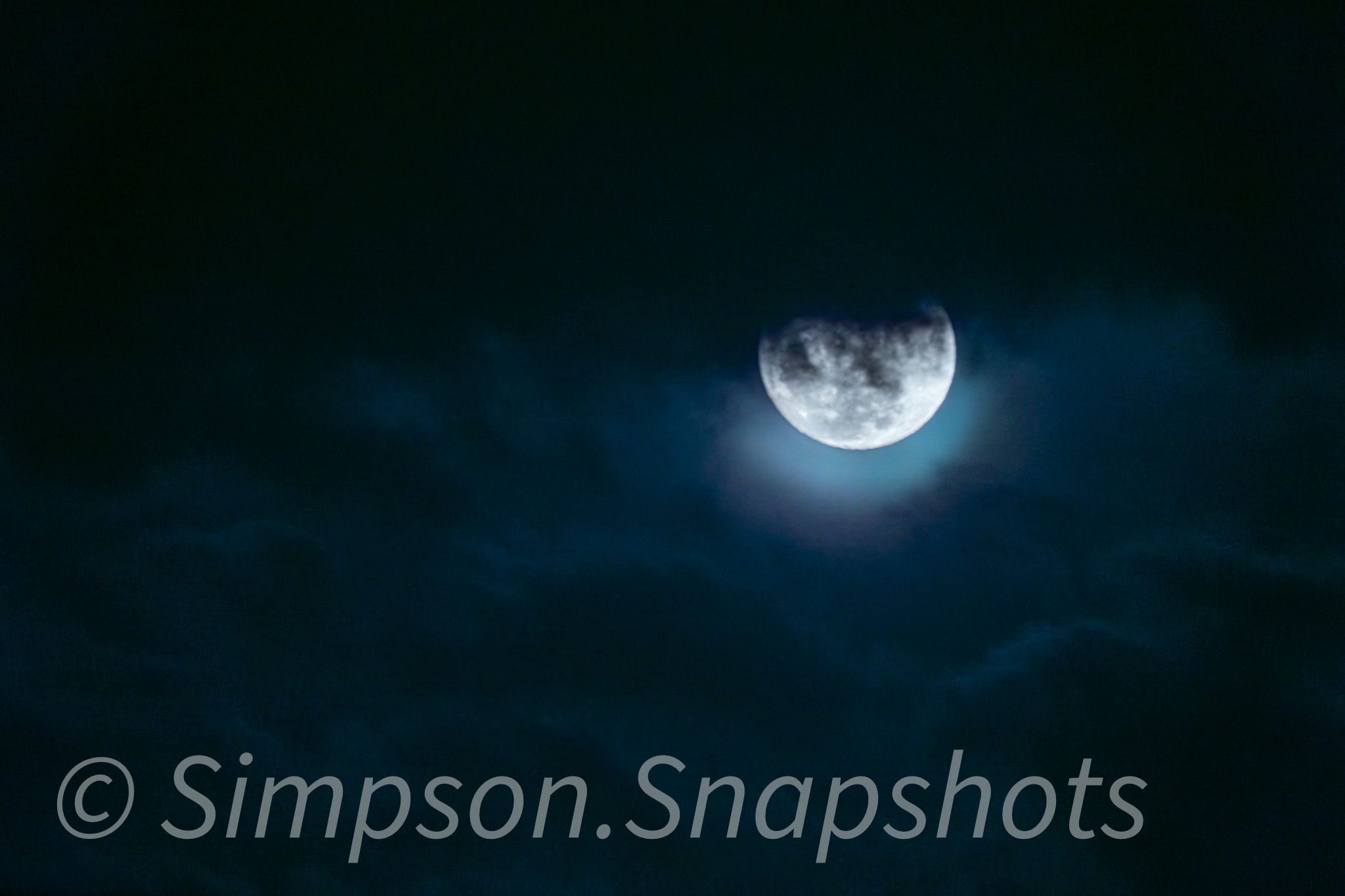 Wildlife-And-Nature photograph 24