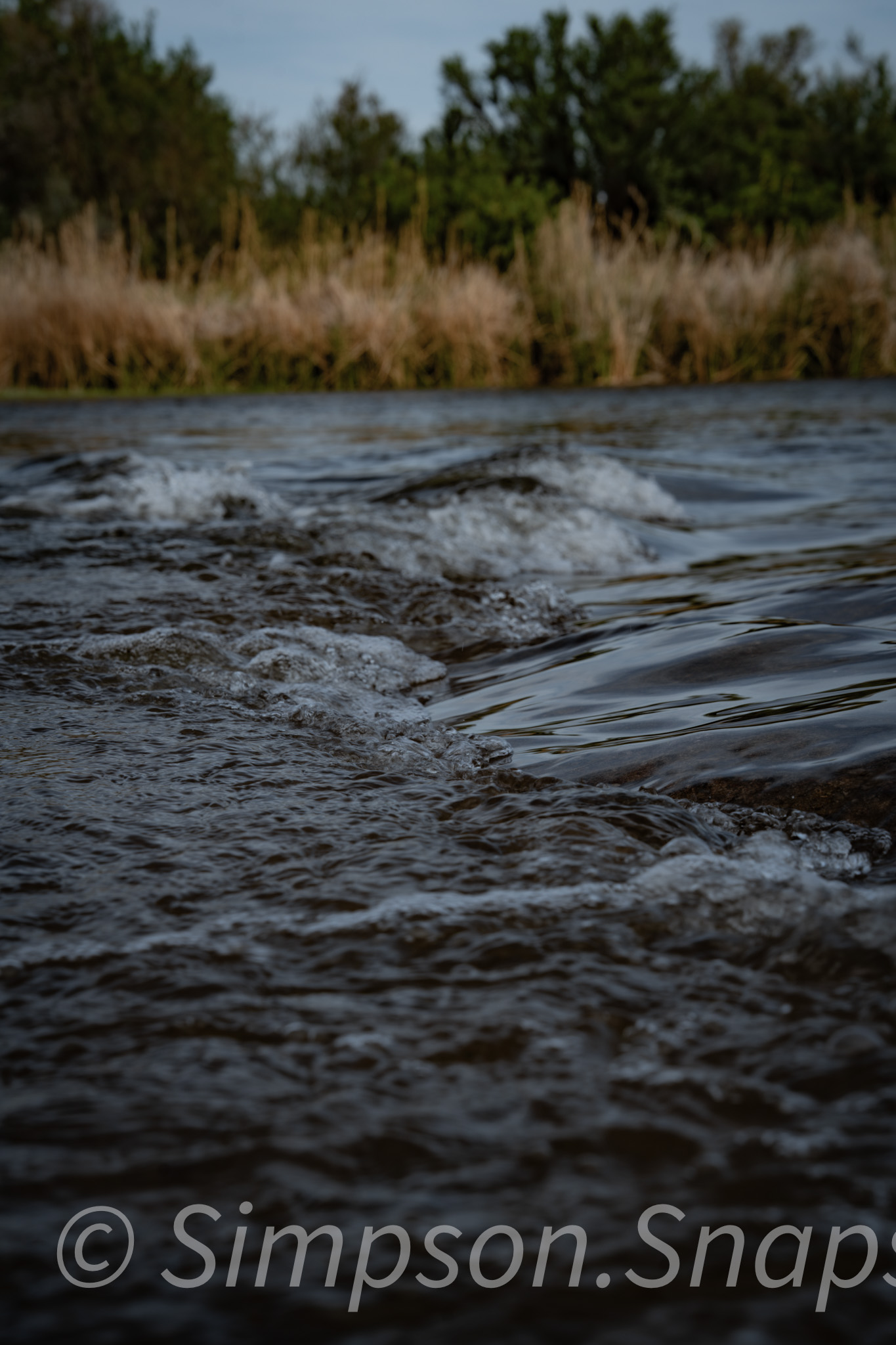 Wildlife-And-Nature photograph 25