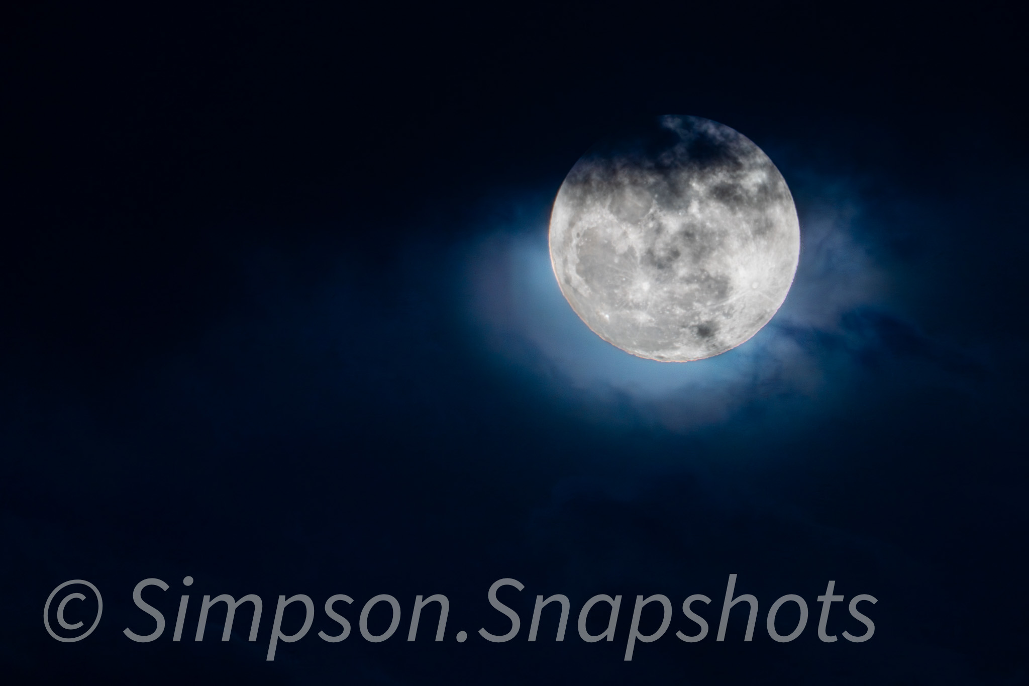 Wildlife-And-Nature photograph 27