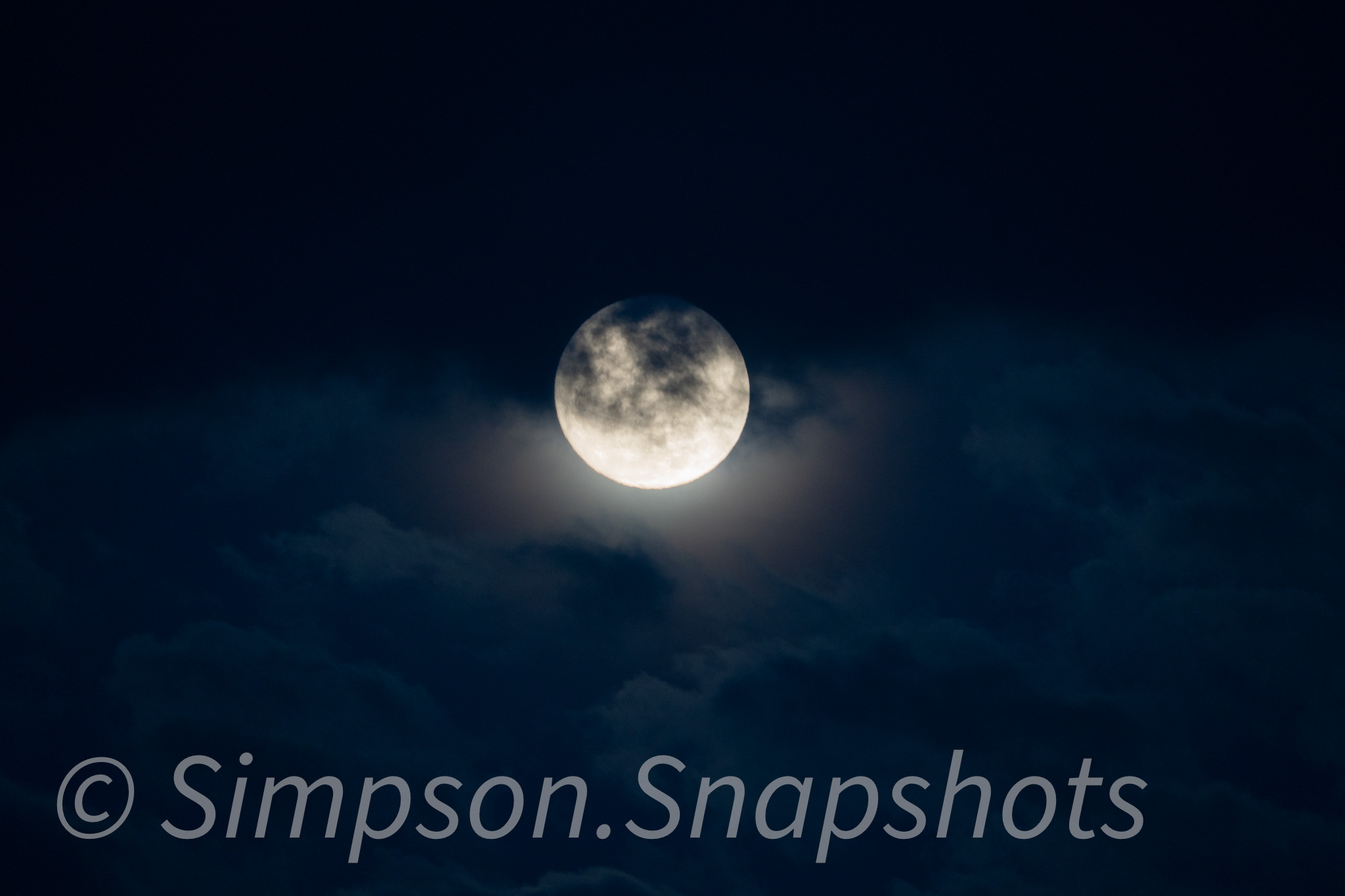 Wildlife-And-Nature photograph 19