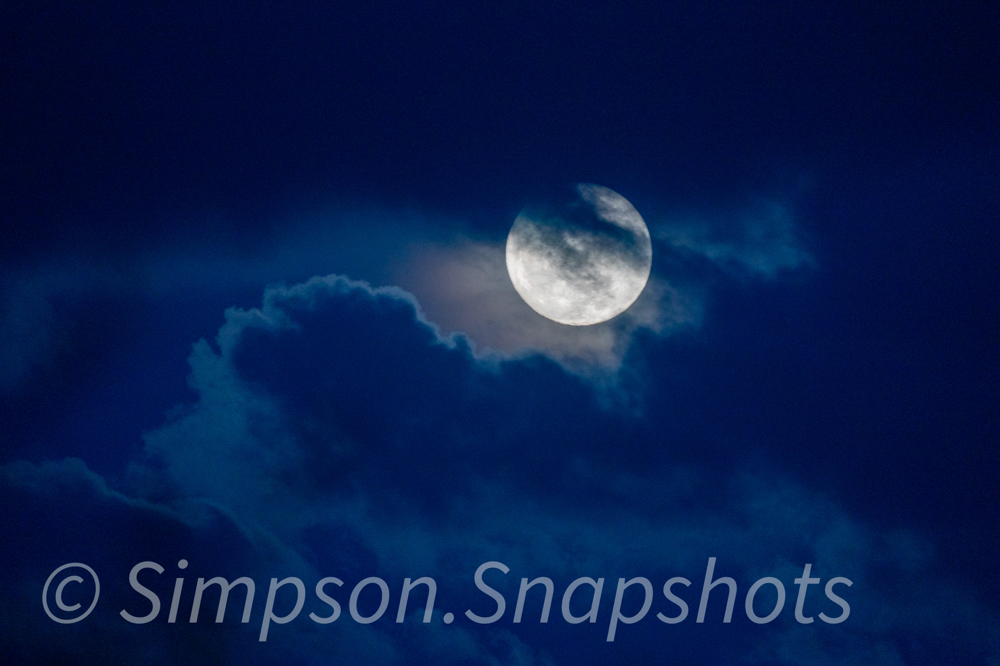 Wildlife-And-Nature photograph 29