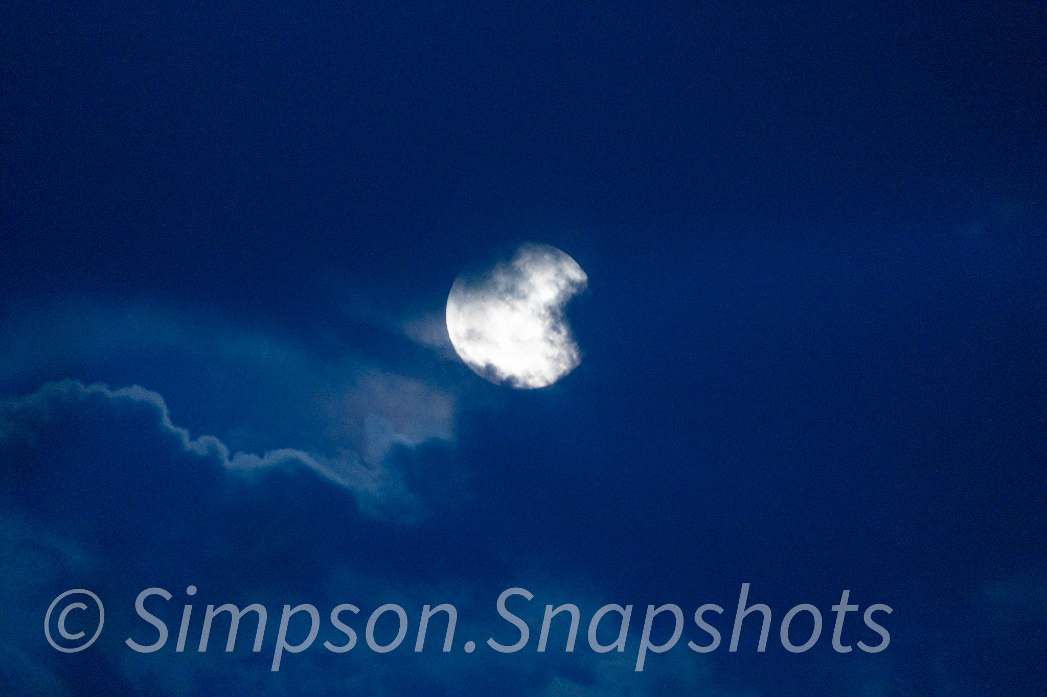 Wildlife-And-Nature photograph 26