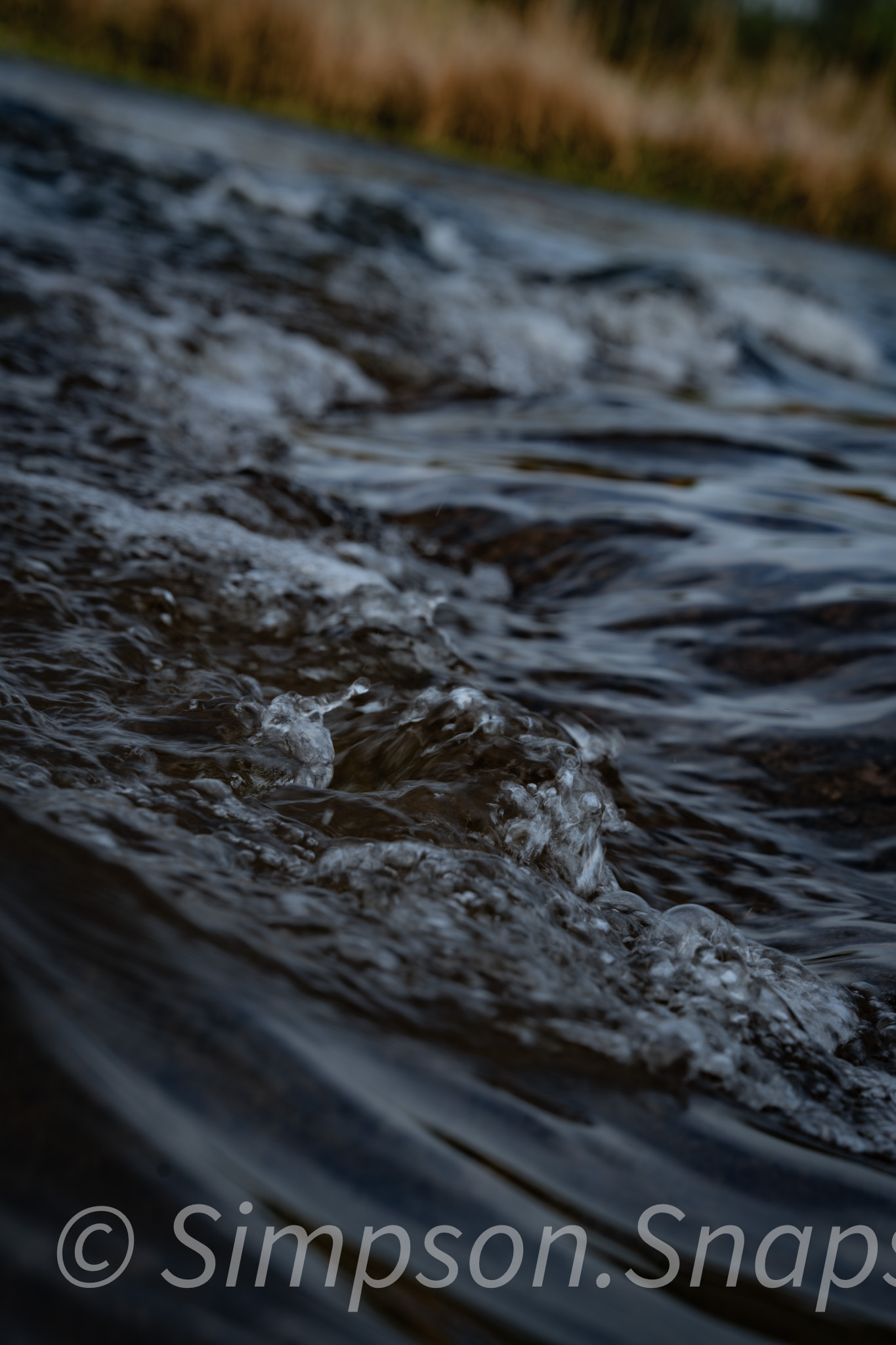 Wildlife-And-Nature photograph 12